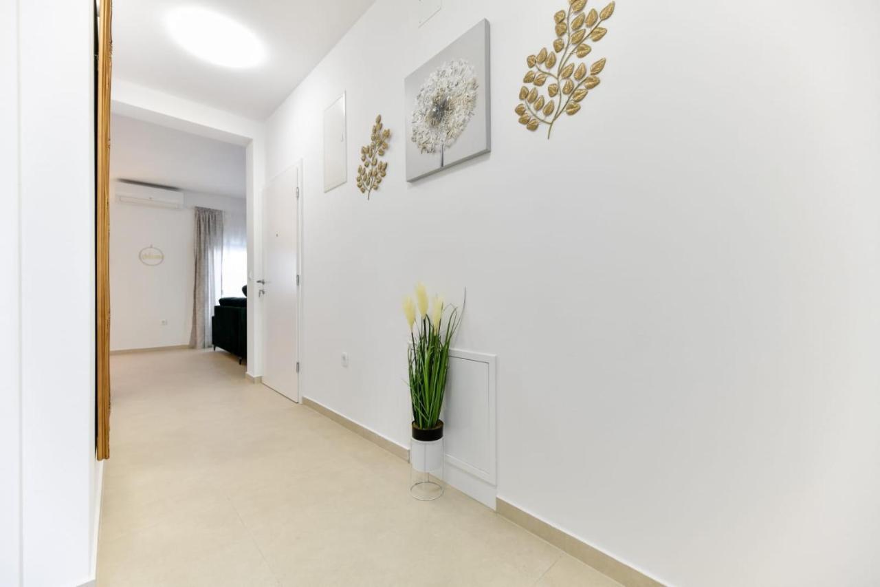 Family Apartment Amare Zadar Eksteriør bilde